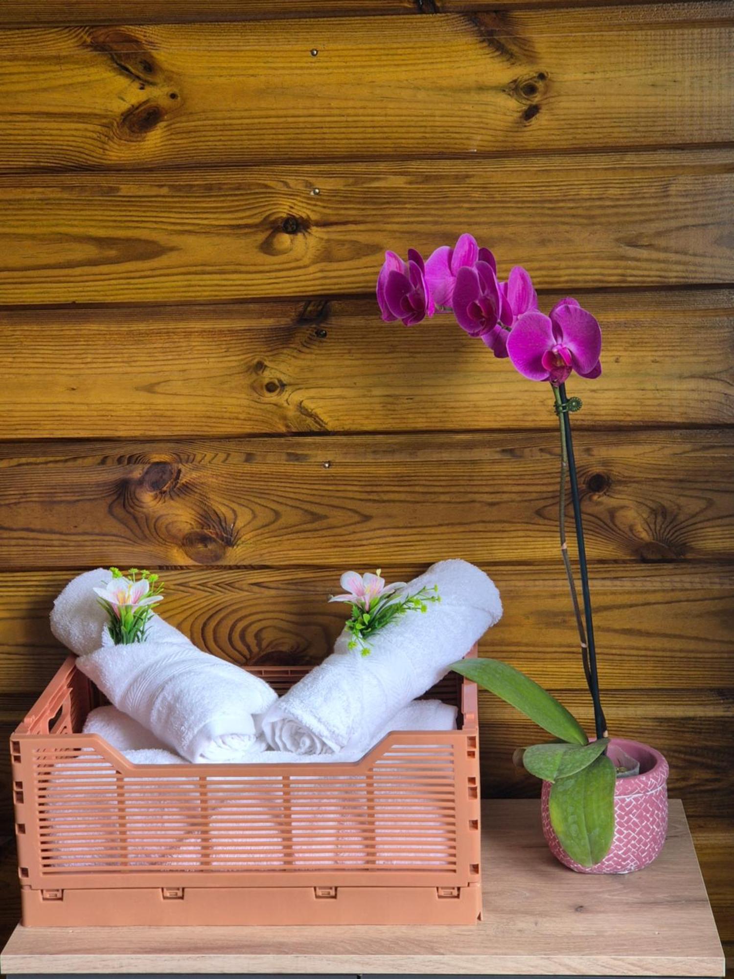 Chez Ti Karl Apartment Le Tampon Ngoại thất bức ảnh